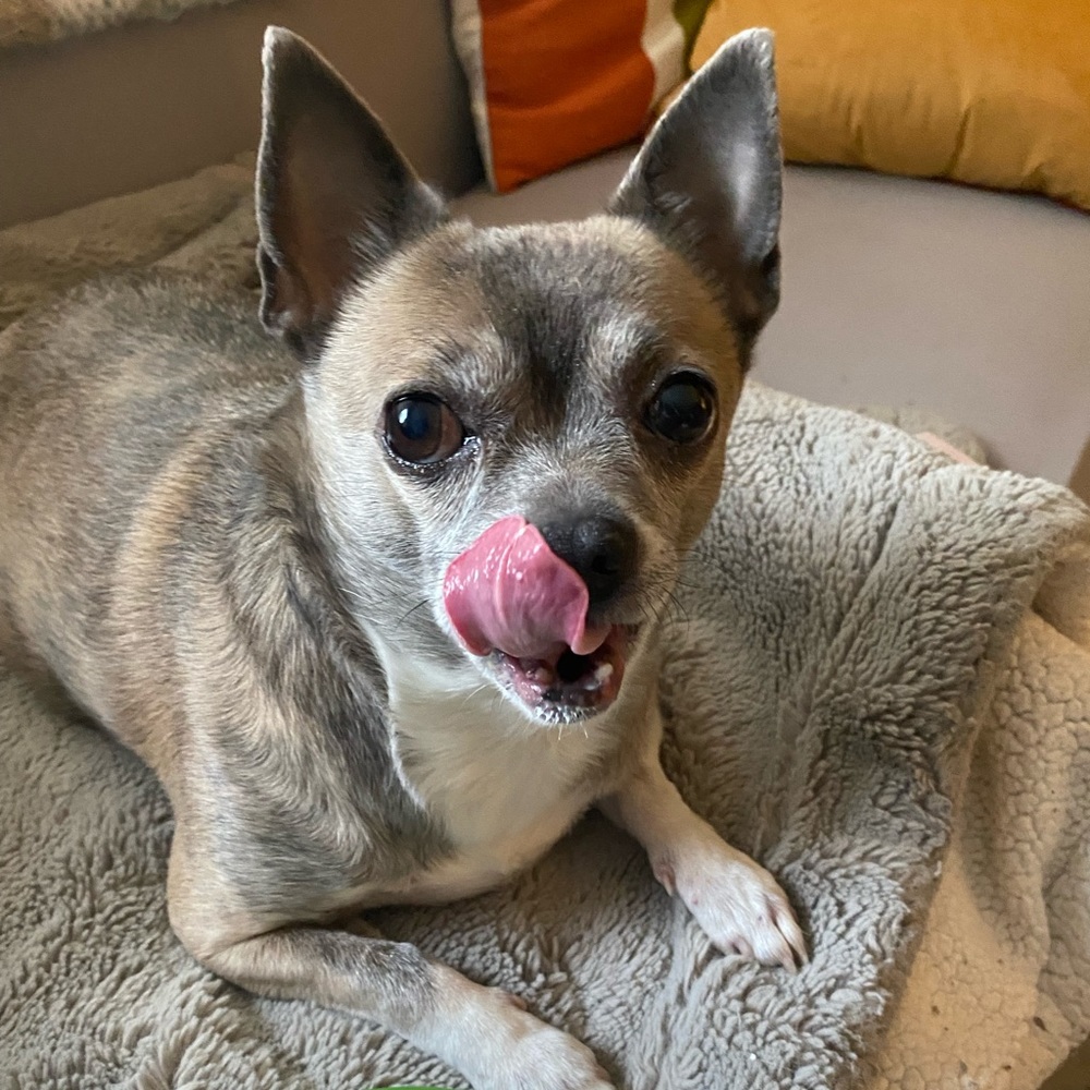 Meet your Posher, Jennybeth